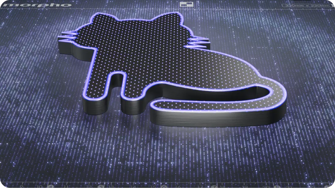 Morpho camera recognition preview with smart contour outline